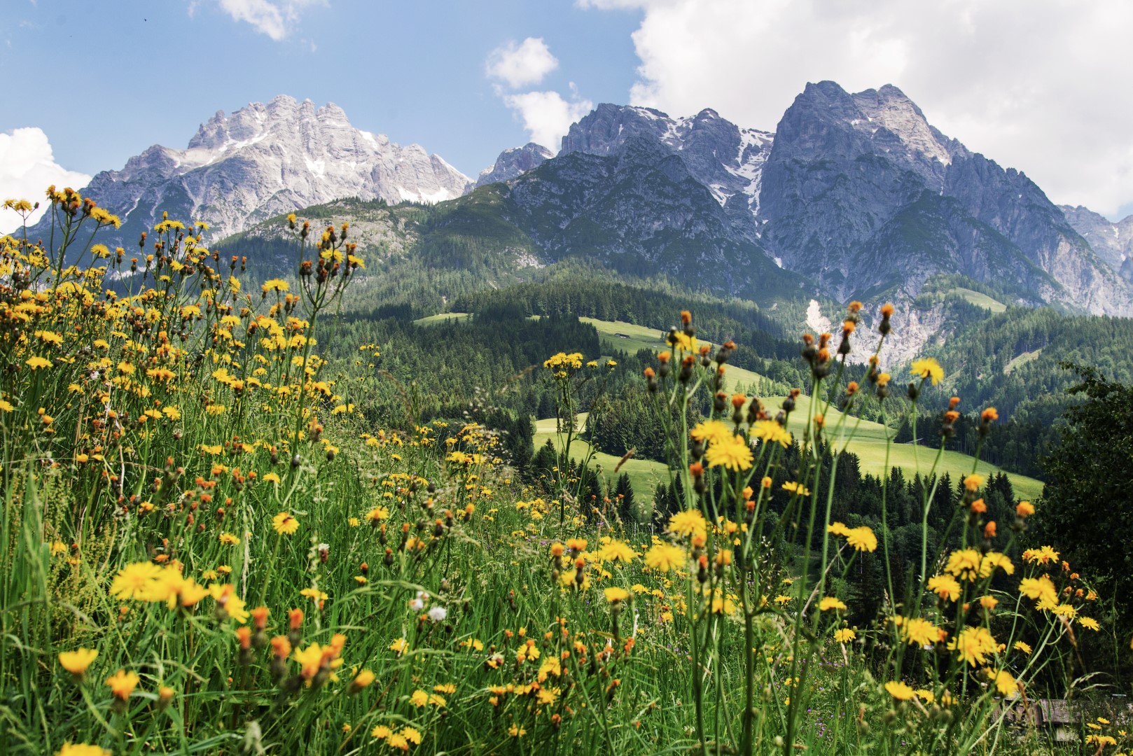 Leogang Steinberge