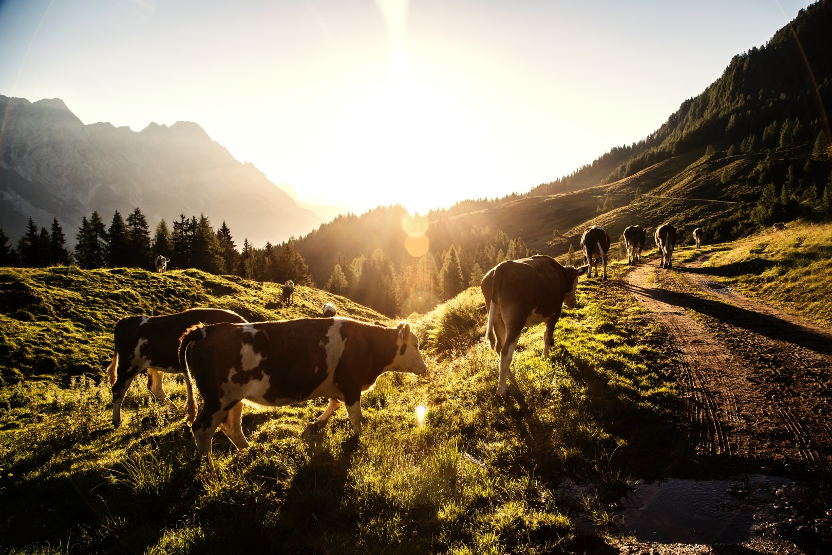 Sonnenaufgang